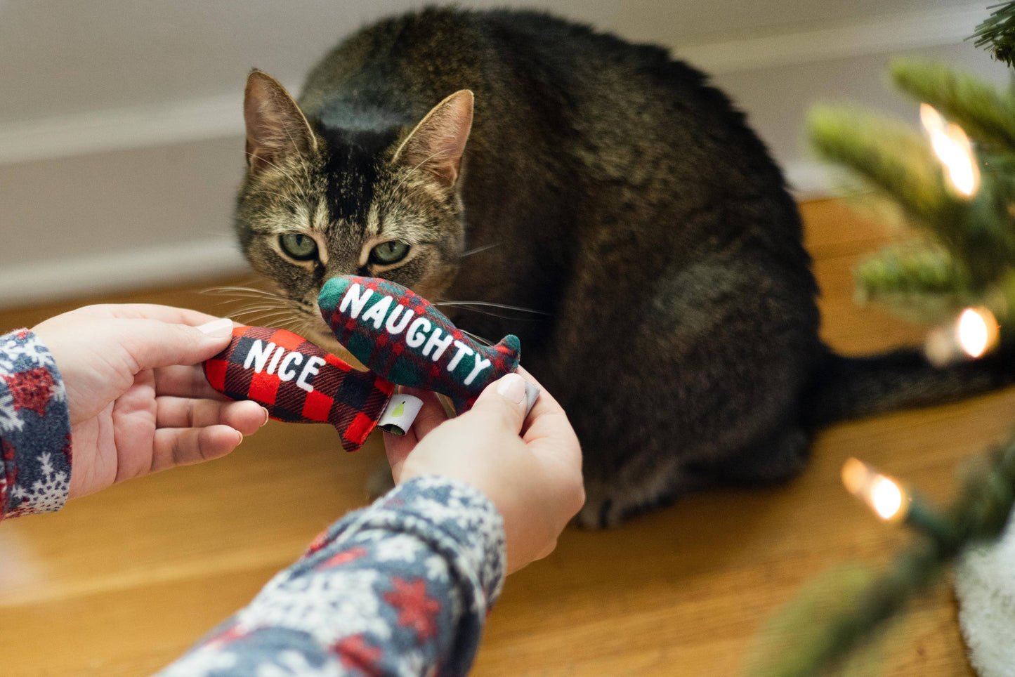 Pearhead - Christmas Naughty & Nice Cat Toys, Set of 2, Holiday Gift
