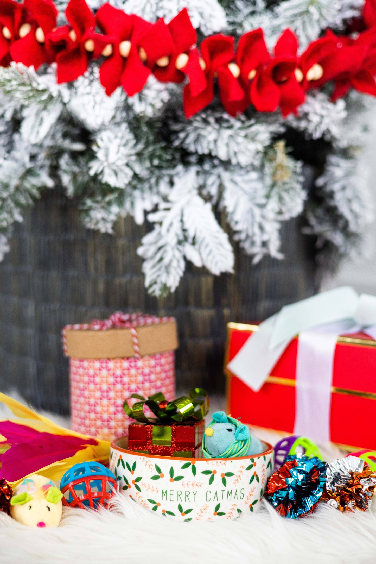 Pearhead - Merry Catmas, Cat Holiday And Christmas Feeding Bowl