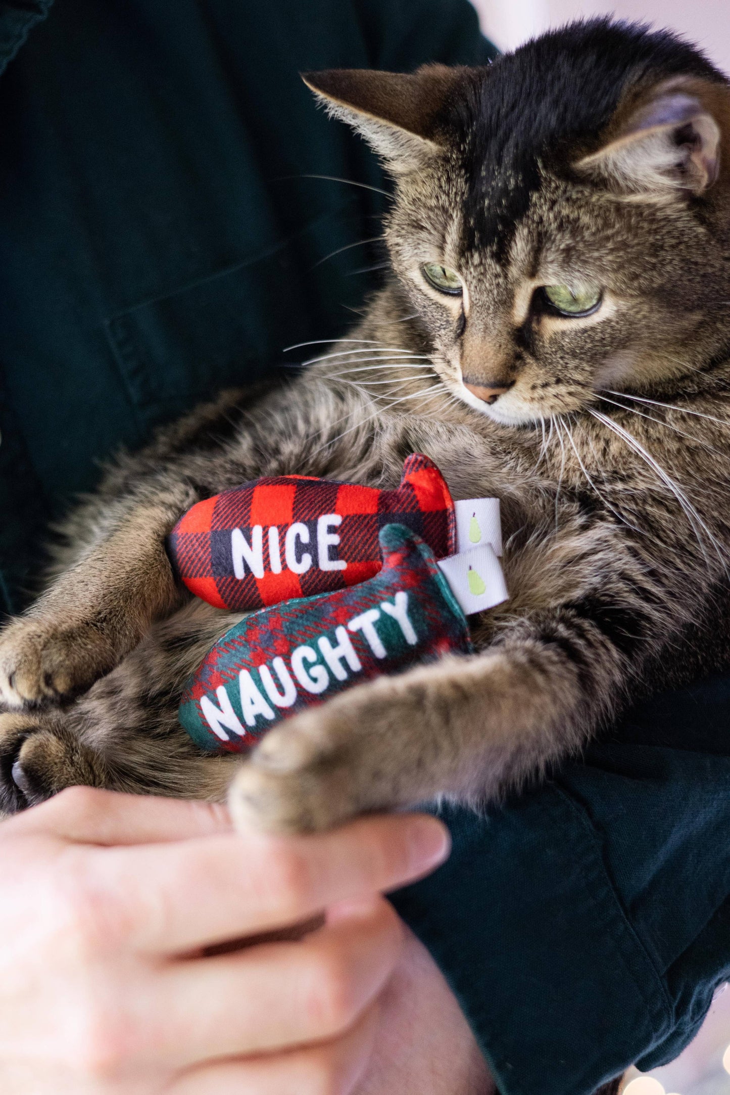 Pearhead - Christmas Naughty & Nice Cat Toys, Set of 2, Holiday Gift