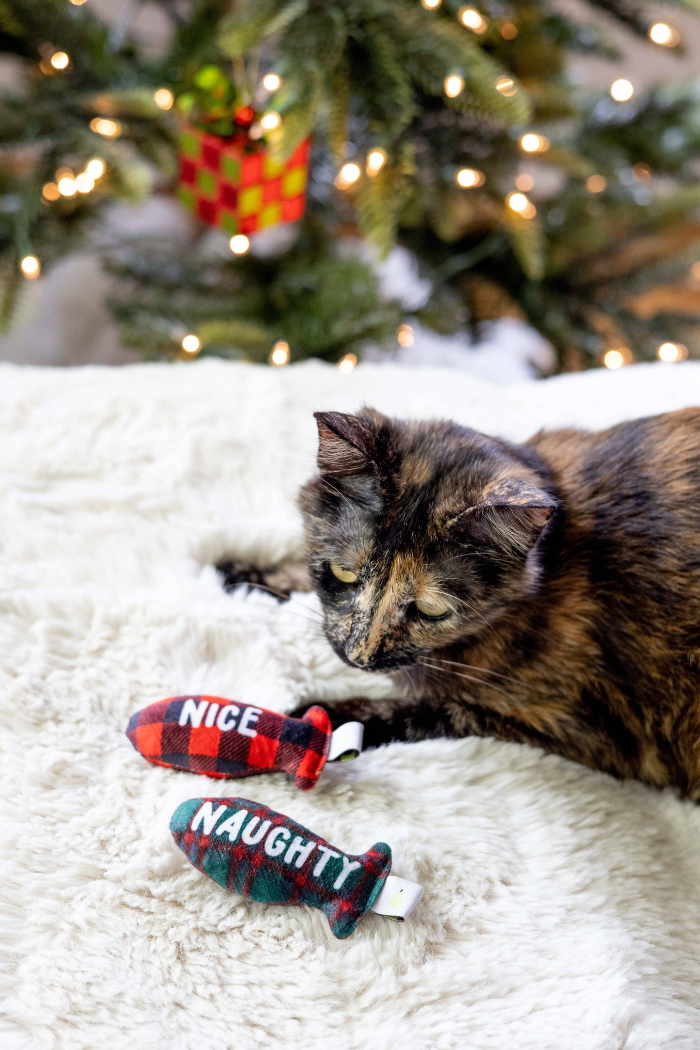 Pearhead - Christmas Naughty & Nice Cat Toys, Set of 2, Holiday Gift