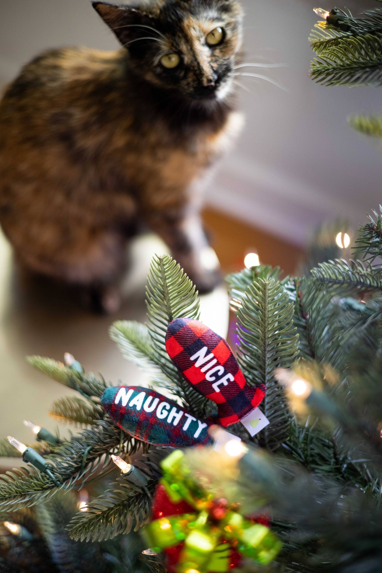 Pearhead - Christmas Naughty & Nice Cat Toys, Set of 2, Holiday Gift
