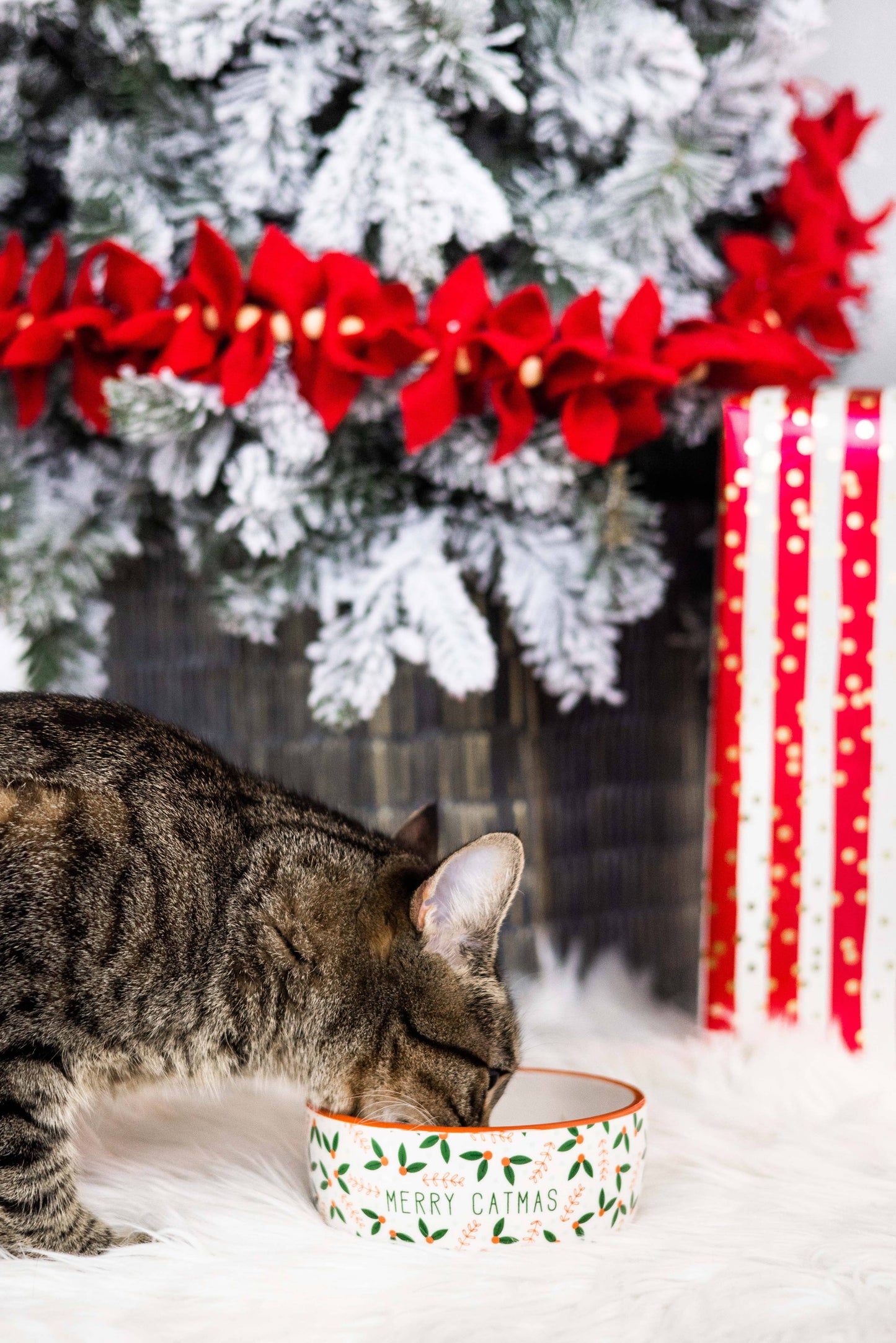 Pearhead - Merry Catmas, Cat Holiday And Christmas Feeding Bowl